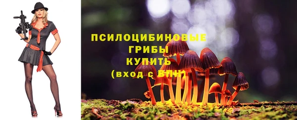 таблы Карпинск
