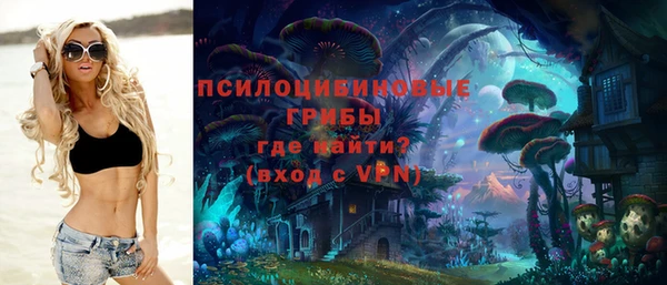 PSILOCYBIN Касимов