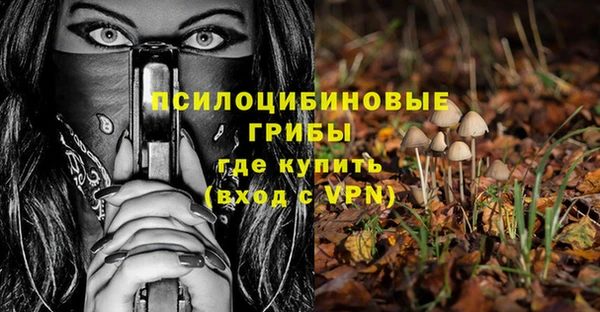 таблы Карпинск